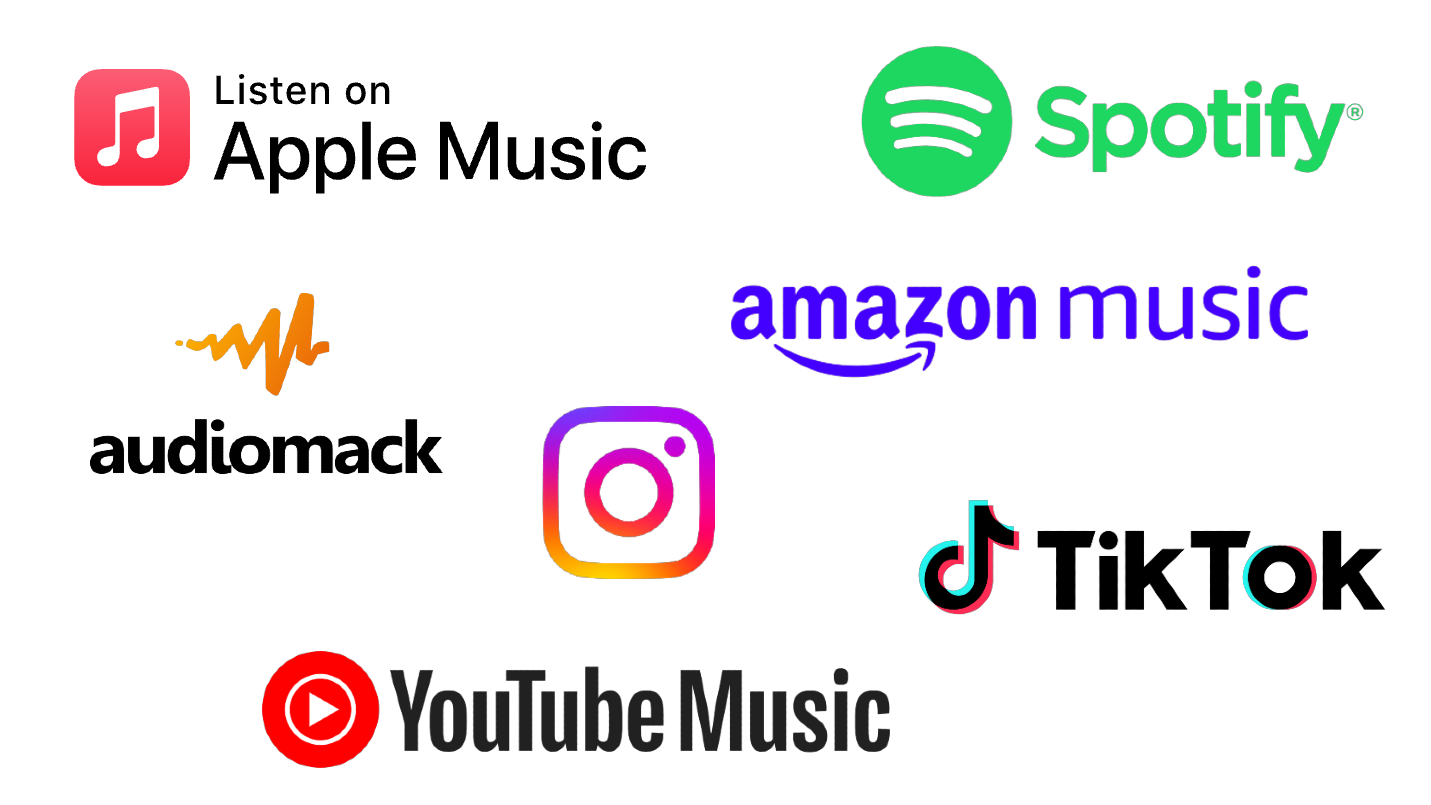 DSPs Apple Music, Spotify, Amazon music, Youtube music, TikTok, Instagram